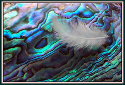 Mother-of-Pearl Mother-of-Pearl