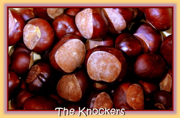The Horse Chestnut Knockers