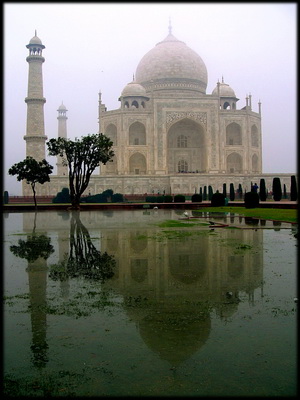 The Lovely Taj Mahal