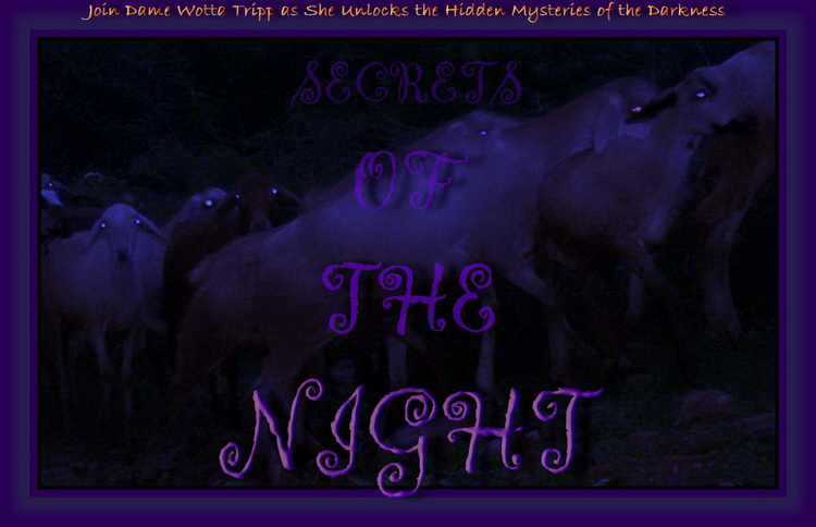 Secrets of the Darkling Night